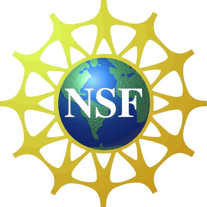 Seeking and Preparing for an NSF Proposal